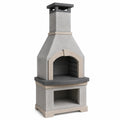 Barbacoa de Cemento para Exterior 120x80x240 cm Gris/Beige